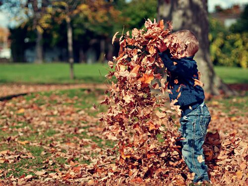 Peuter bladeren herfst.jpg