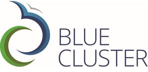 Logo blue cluster 12x24.jpg
