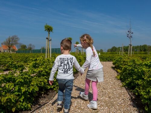 Kinderen hand-in-hand Walcheren.jpg