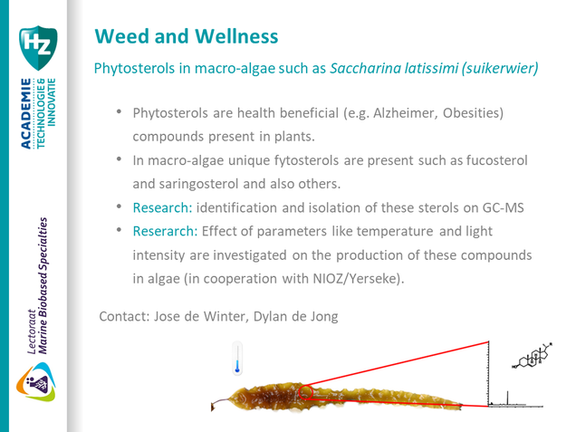 MBBS Weed and Wellness - phytosterols.png